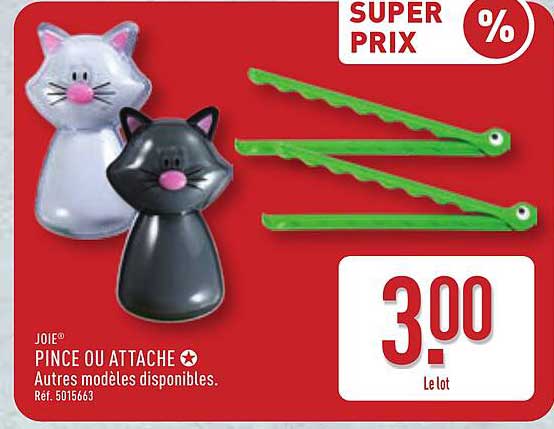 PINCE OU ATTACHE
