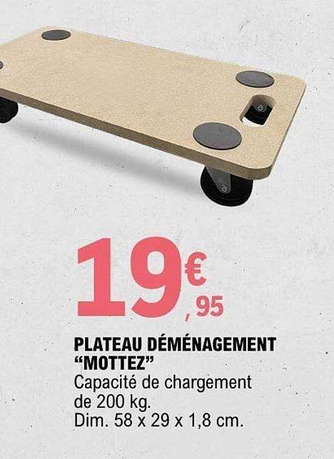 PLATEAU DÉMÉNAGEMENT “MOTTEZ”