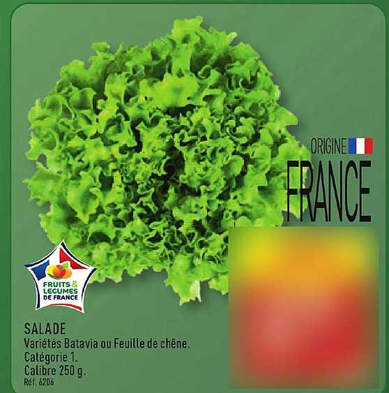 SALADE Variétés Batavia ou Feuille de chêne. Catégorie 1. Calibre 250 g.
