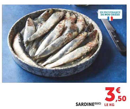 SARDINE 5(C)