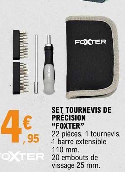 SET TOURNEVIS DE PRÉCISION “FOXTER”