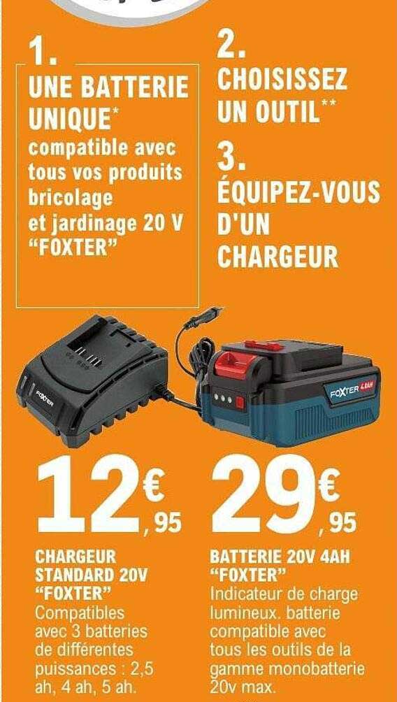 UNE BATTERIE UNIQUE* compatible avec tous vos produits bricolage et jardinage 20 V "FOXTER"