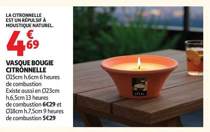 VASQUE BOUGIE CITRONNELLE