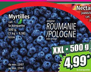 Myrtilles XXL 500 g