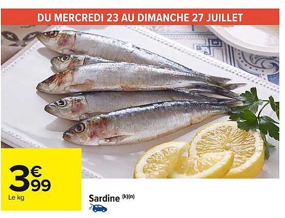 Sardine (k)(n)