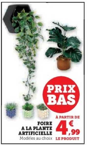 FOIRE À LA PLANTE ARTIFICIELLE