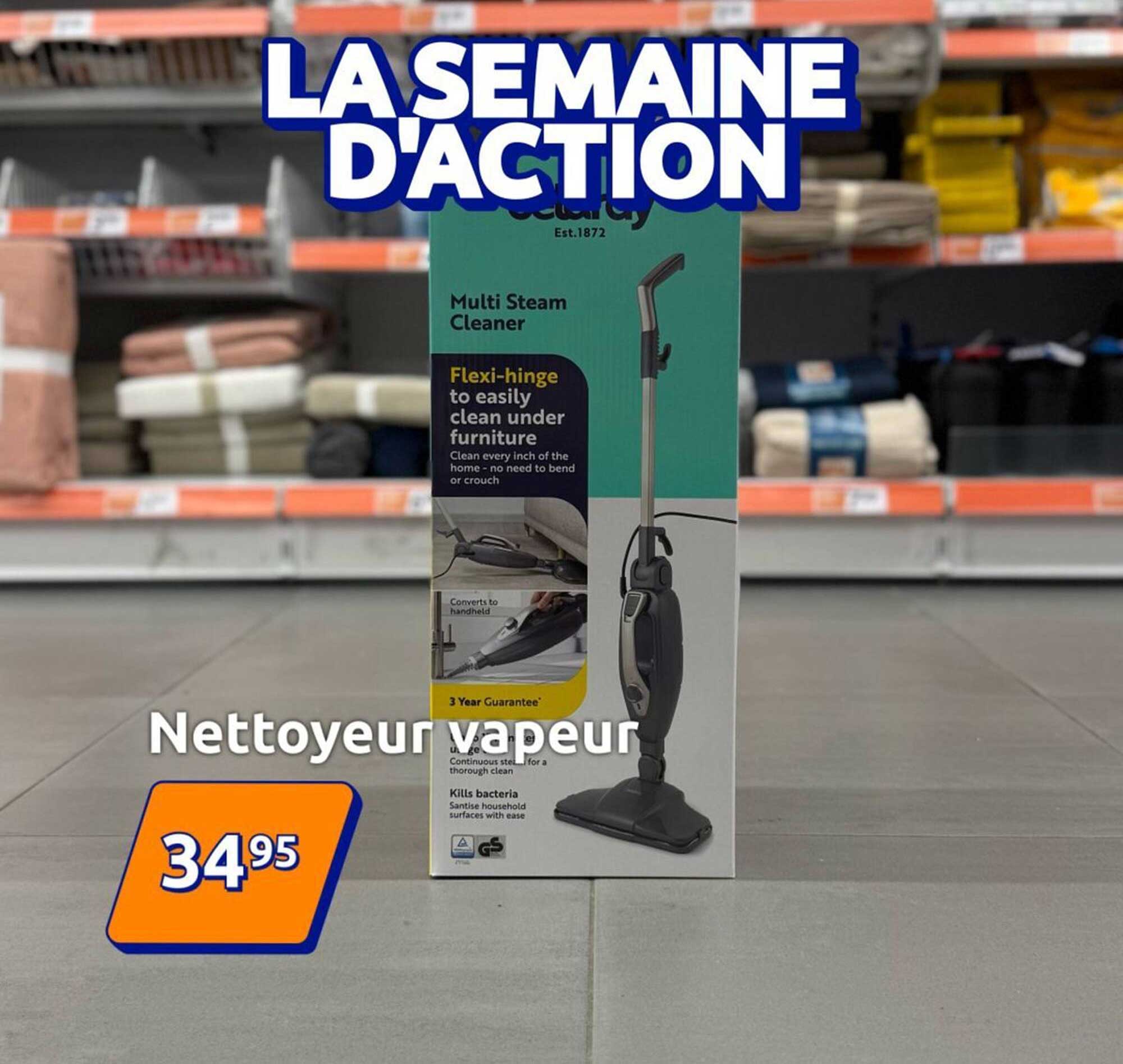 Nettoyeur vapeur