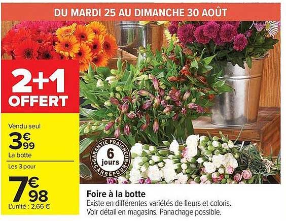 2+1 OFFERT