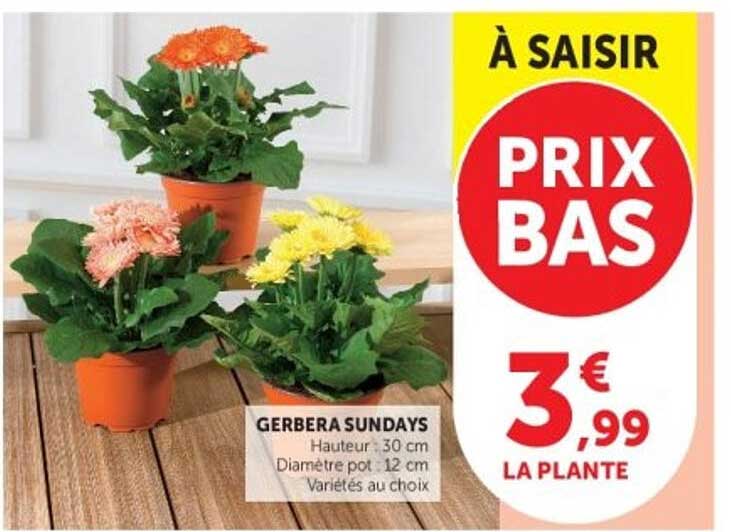 À SAISIR PRIX BAS