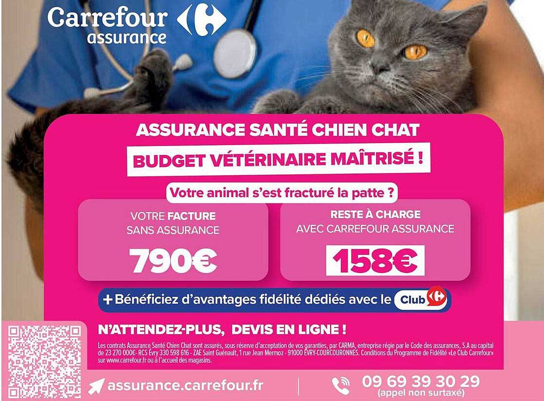 ASSURANCE SANTÉ CHIEN CHAT