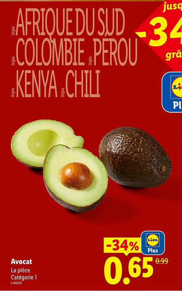 Avocat
