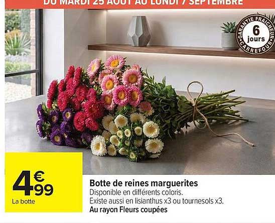 Botte de reines marguerites