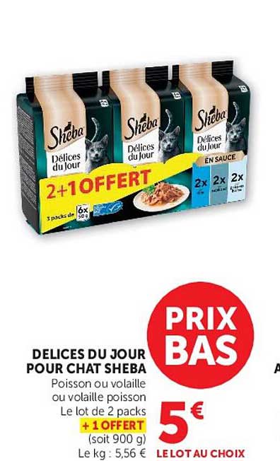 DELICES DU JOUR POUR CHAT SHEBA