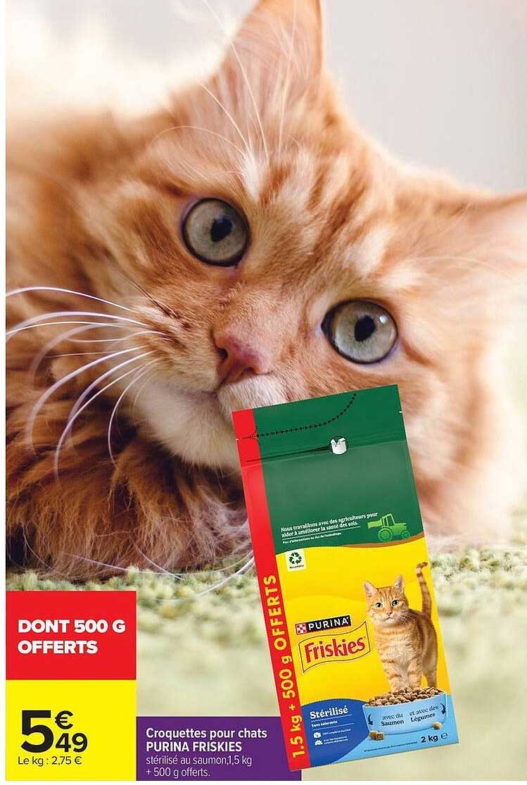 DONT 500 G OFFERTS