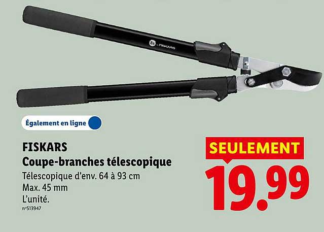 FISKARS Coupe-branches télescopique