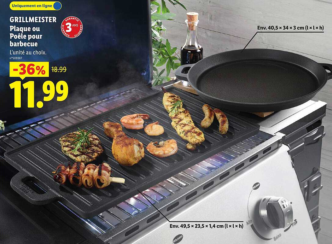 GRILLMEISTER Plaque ou Poêle pour barbecue