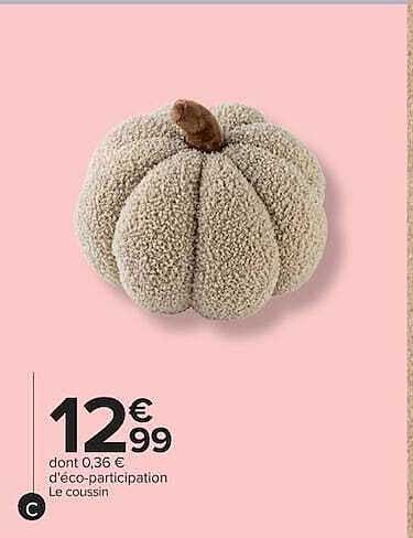 Le coussin