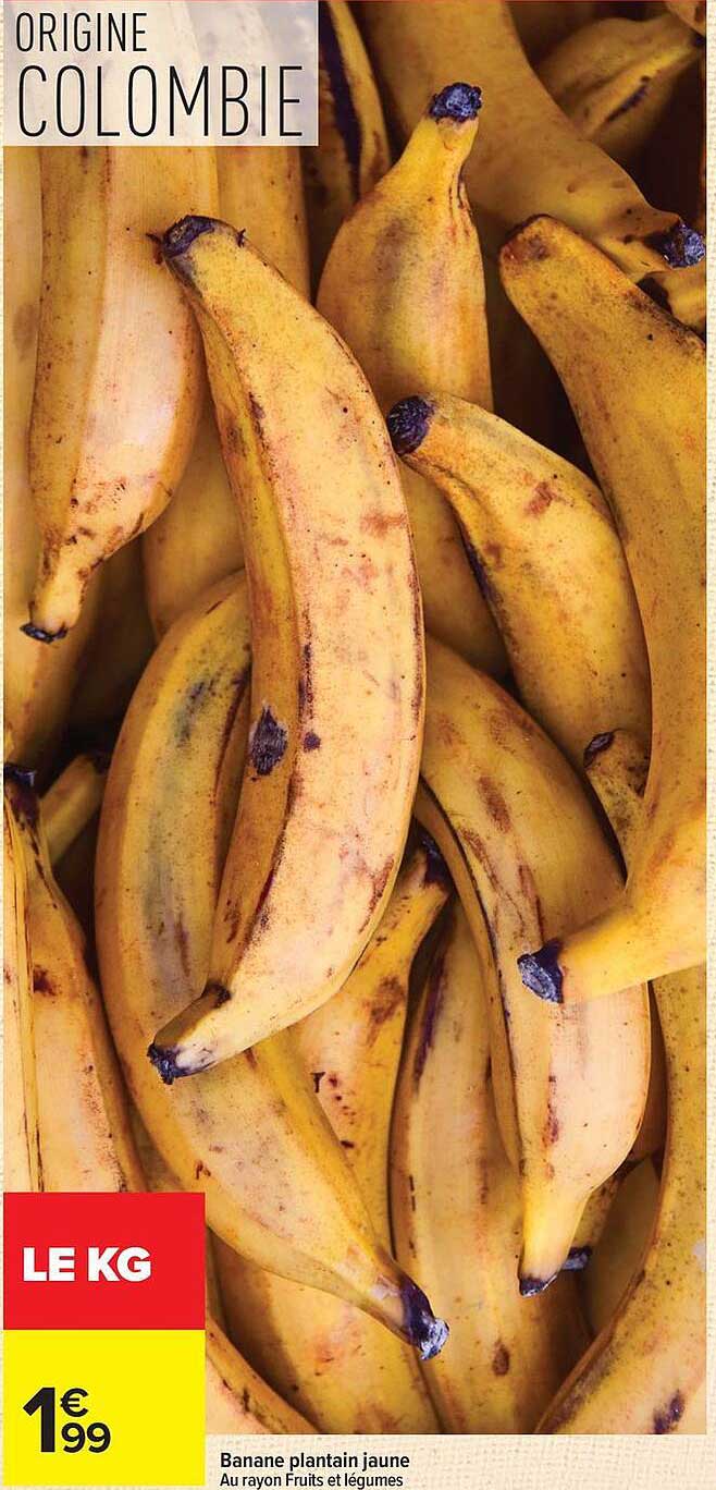 LE KG