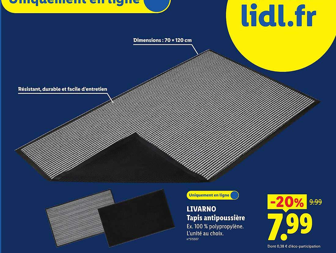 LIVARNO Tapis antipoussière