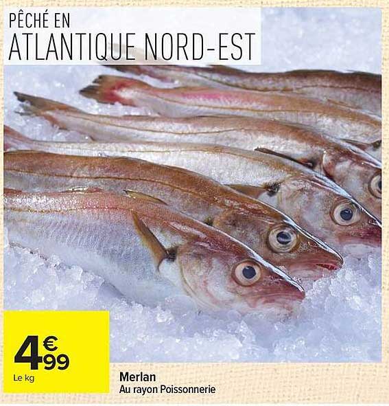 PÊCHÉ EN ATLANTIQUE NORD-EST