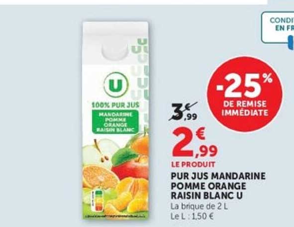 PUR JUS MANDARINE POMME ORANGE RAISIN BLANC U