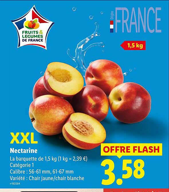 XXL Nectarine