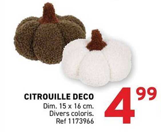 CITROUILLE DECO