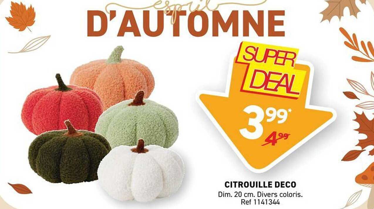 CITROUILLE DECO