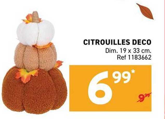 CITROUILLES DECO