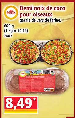 Demi noix de coco pour oiseaux