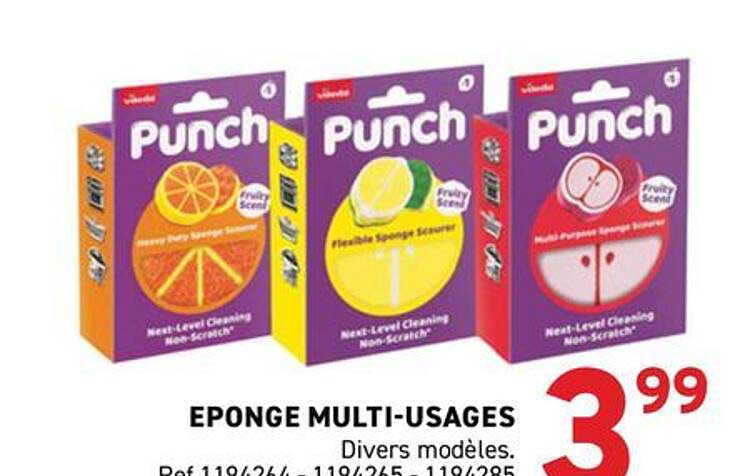 EPONGE MULTI-USAGES