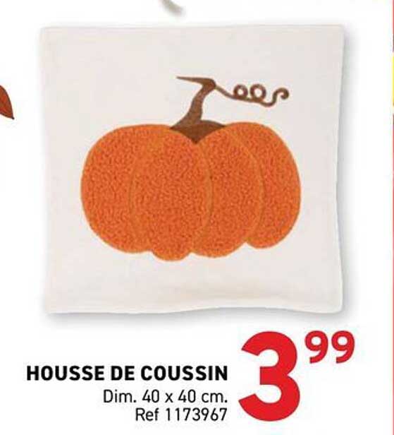 HOUSSE DE COUSSIN