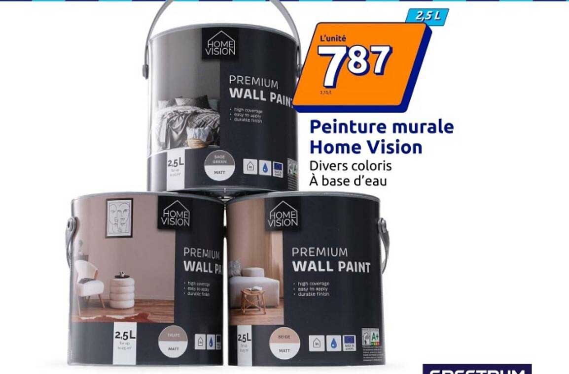 Peinture murale Home Vision