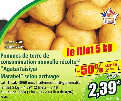 Pommes de terre de consommation nouvelle récolte(b) "Agata/Taisiya/Marabel" selon arrivage