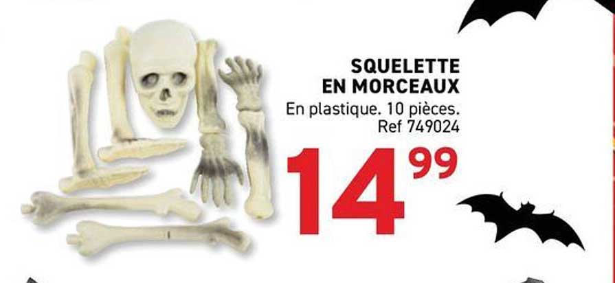 SQUELETTE EN MORCEAUX