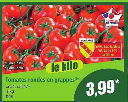 Tomates rondes en grappes