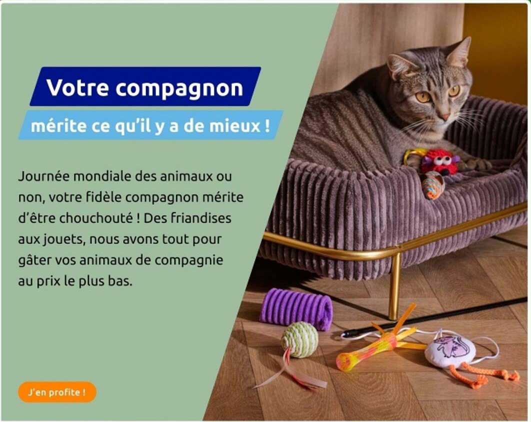 Votre compagnon mérite ce qu’il y a de mieux !