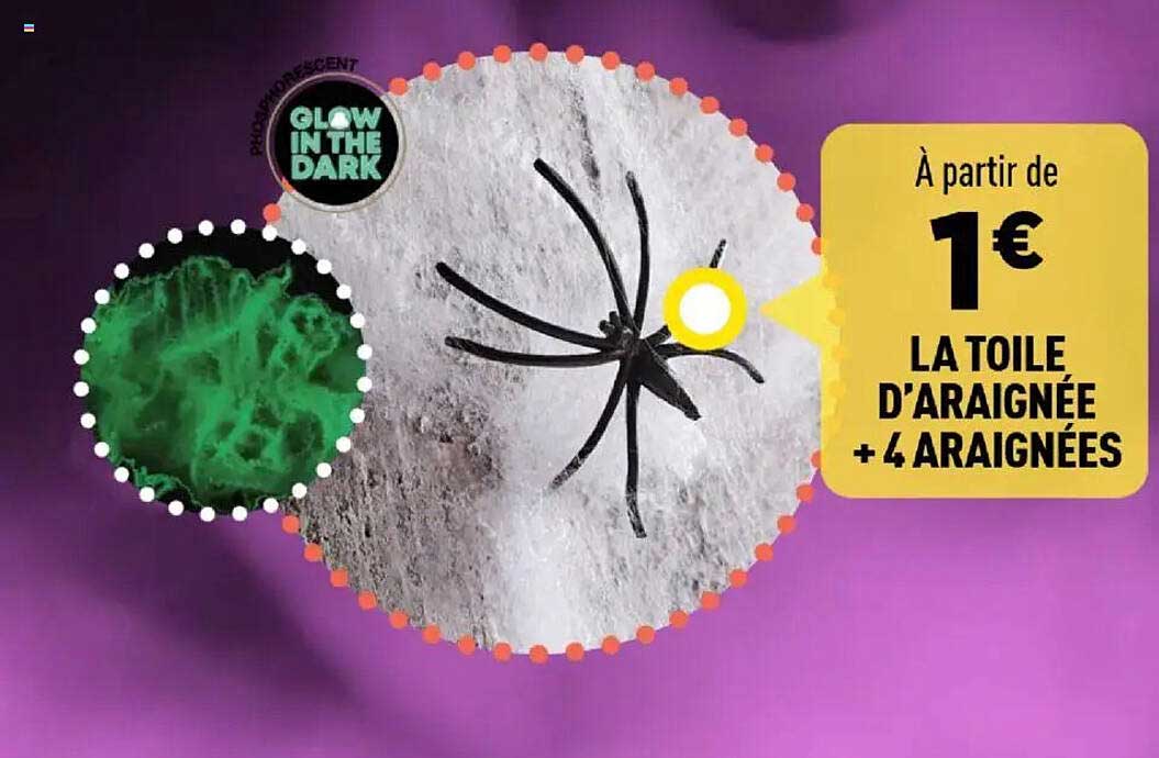 À partir de 1€ LA TOILE D'ARAIGNÉE + 4 ARAIGNÉES