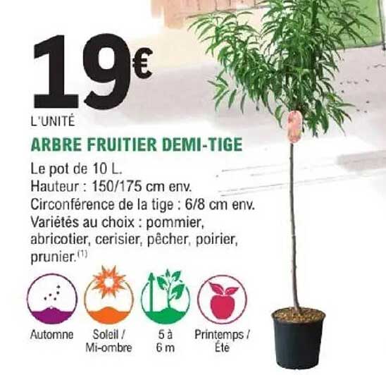 ARBRE FRUITIER DEMI-TIGE