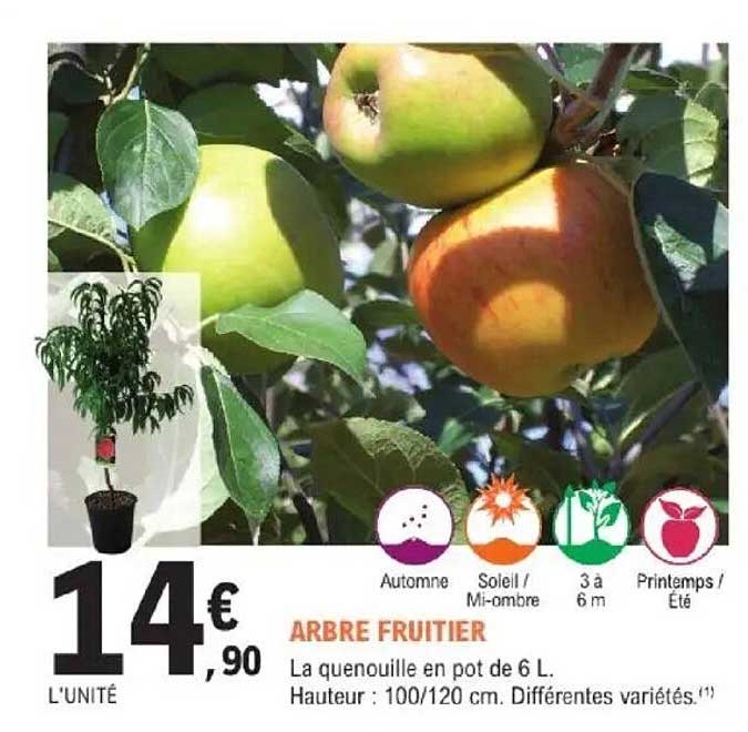 ARBRE FRUITIER