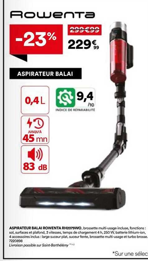 Aspirateur Balai Rowenta