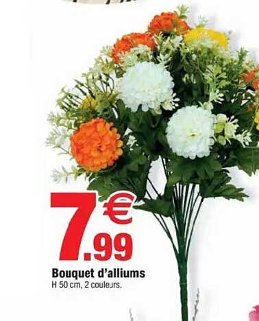 Bouquet d’alliums