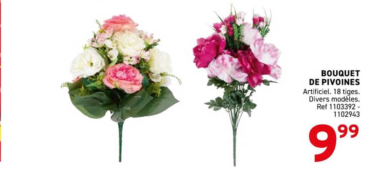 BOUQUET DE PIVOINES