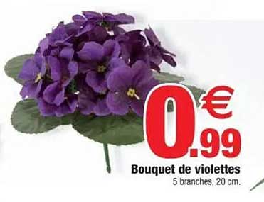 Bouquet de violettes