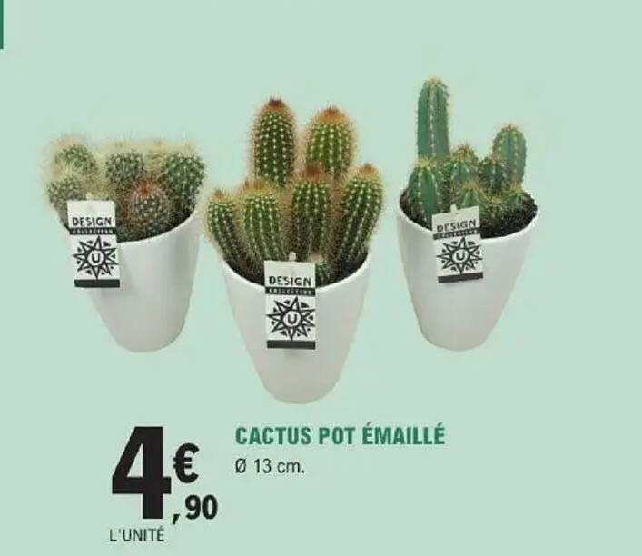 CACTUS POT ÉMAILLÉ