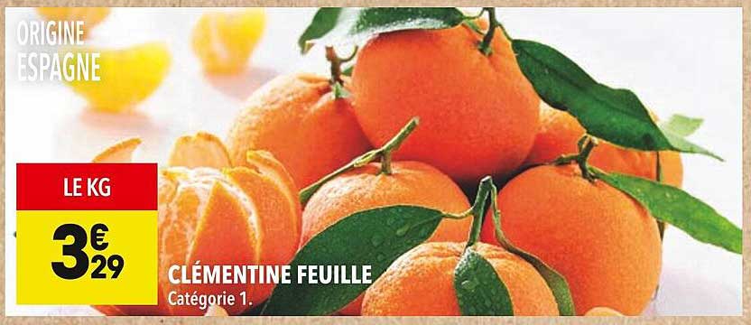 CLÉMENTINE FEUILLE