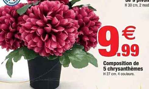 Composition de 5 chrysanthèmes