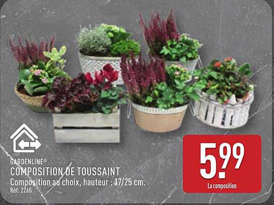 COMPOSITION DE TOUSSAINT