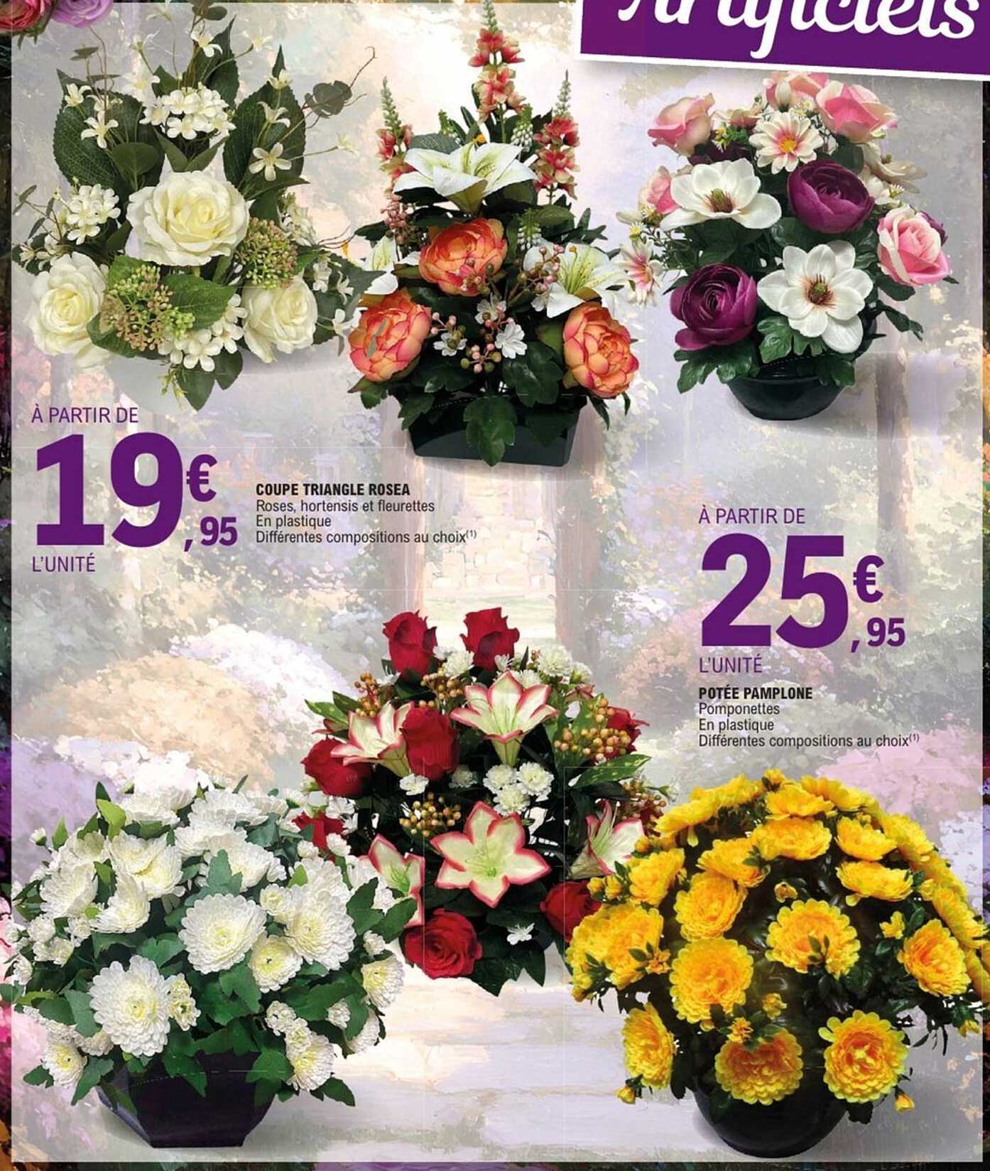 Coupe Triangle Rosea