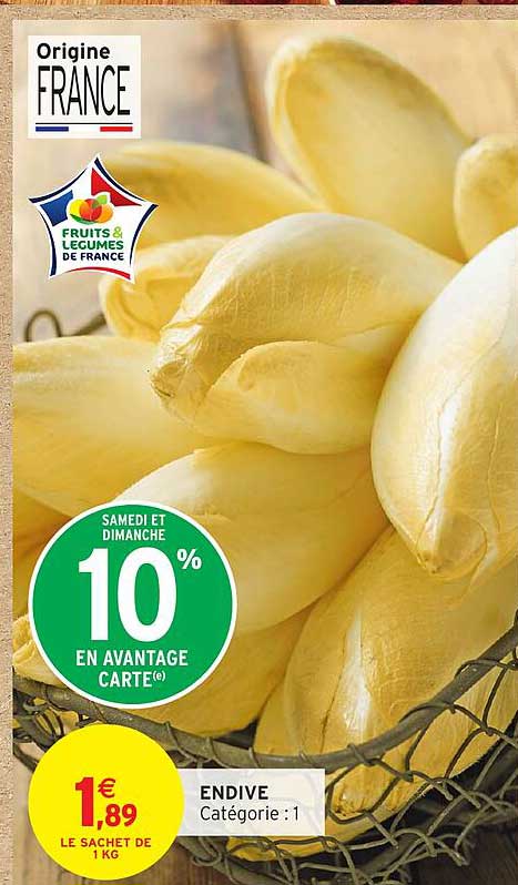 ENDIVE